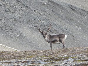 P1110675
