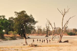 Norman-Carr-Safaris17-29
